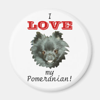 Black Pomeranian-I LOVE my Pomeranian! Magnet