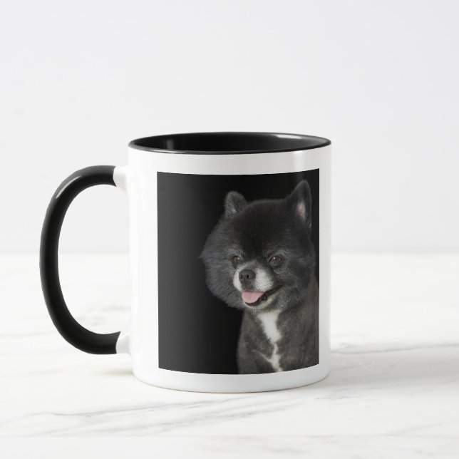 Black Pomeranian looking to the left Mug (Left)