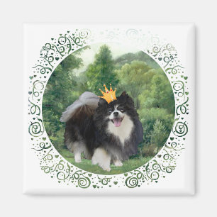 Black Pomeranian Prince Magnet