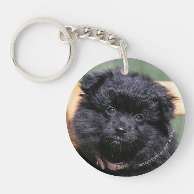 Black Pomeranian Puppy Key Ring (Front)