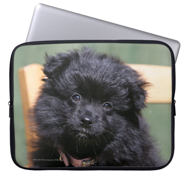 Black Pomeranian Puppy Laptop Sleeve (Front)