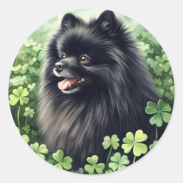 Black Pomeranian St Patricks Day  Classic Round Sticker (Front)
