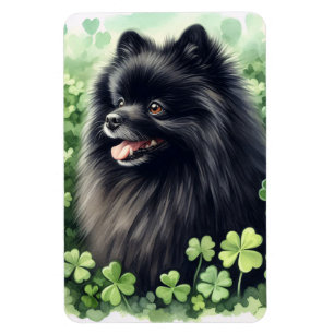 Black Pomeranian St Patricks Day Flexible Magnet