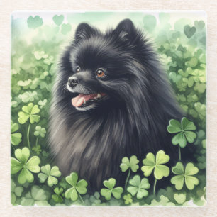Black Pomeranian St Patricks Day Glass Coaster