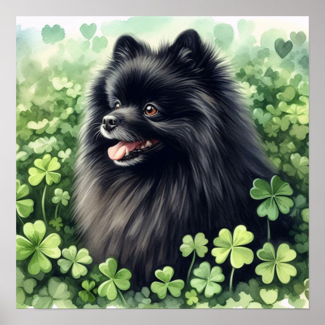 Black Pomeranian St Patricks Day  Poster (Front)