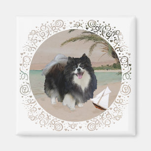 Black Pomeranian with Sailboat Magnet