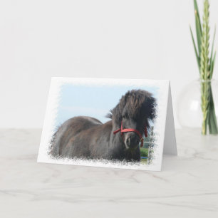 Black Pony Greeting Card