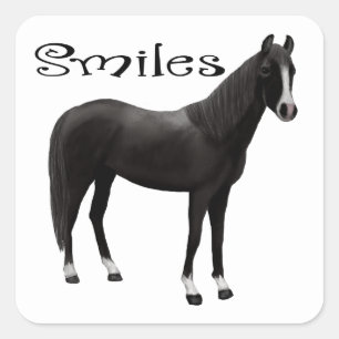Black Pony Thinking of you Smiles Hello Horse Square Sticker