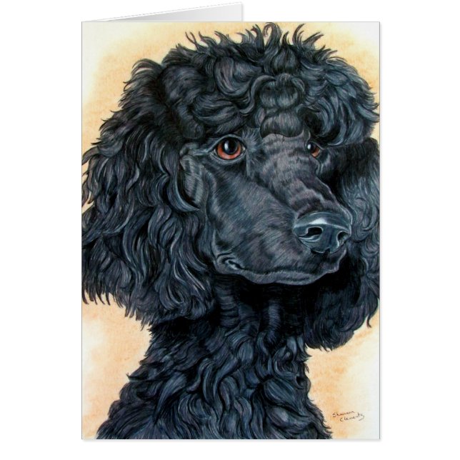 Black Poodle (Front)