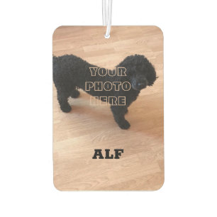 Black Poodle Car Air Freshener