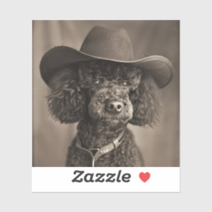 Black Poodle Dressed as a Cowboy Halloween Costume