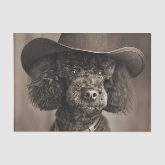 Black Poodle Dressed as a Cowboy Halloween Costume Tissue Paper (Front)