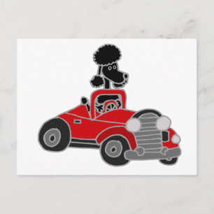 Black Poodle Driving Red Convertible Car Postcard