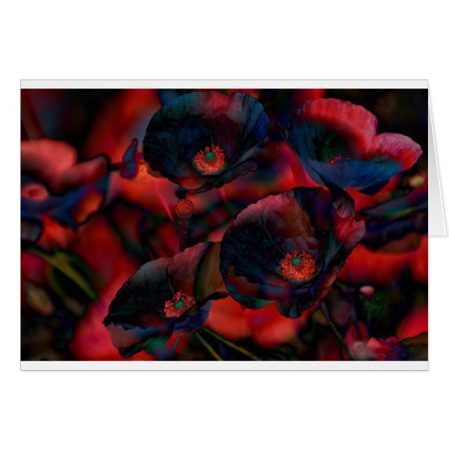 Black Poppies (Front Horizontal)
