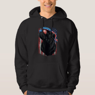 Black Pug 4th Of July Dog Mum Dog Dad Usa Flag Pu Hoodie