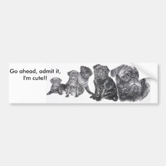 Black Pug Bumper Sticker