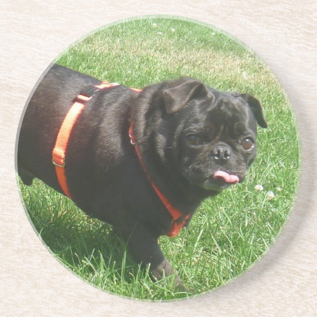 Black PUG Coaster (Front)