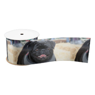 Black pug dog 3" satin ribbon