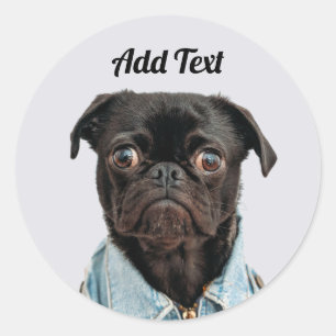 Black Pug Dog Add Text Classic Round Sticker
