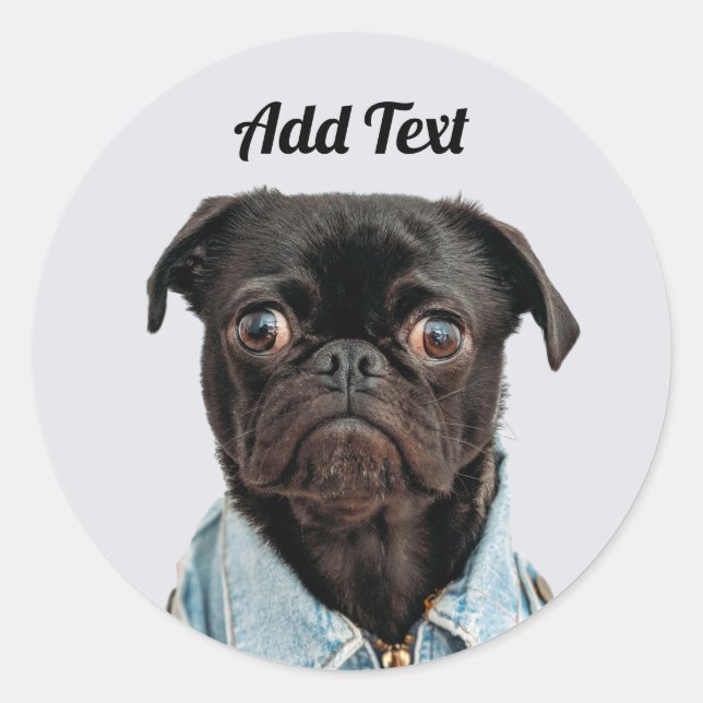 Black Pug Dog Add Text Classic Round Sticker (Front)