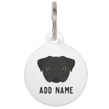 Black Pug Dog