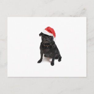 Black pug dog with red santa hat holiday postcard