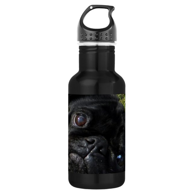 black-pug eyes 532 ml water bottle (Front)