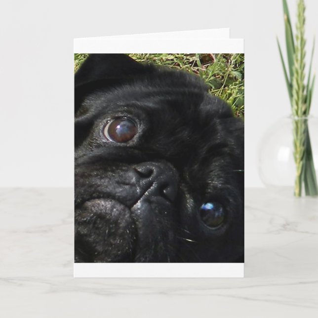 black-pug eyes card (Front)