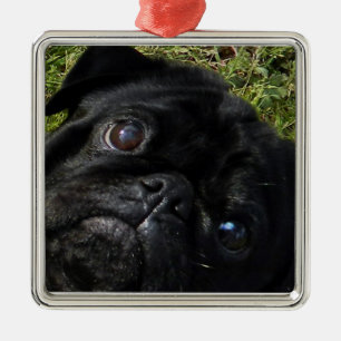 black-pug eyes metal tree decoration