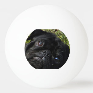 black-pug eyes ping pong ball