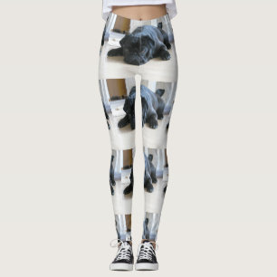 black pug flat leggings