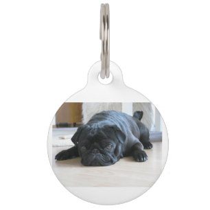 black pug flat pet tag