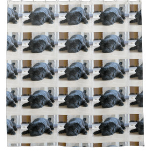 black pug flat shower curtain