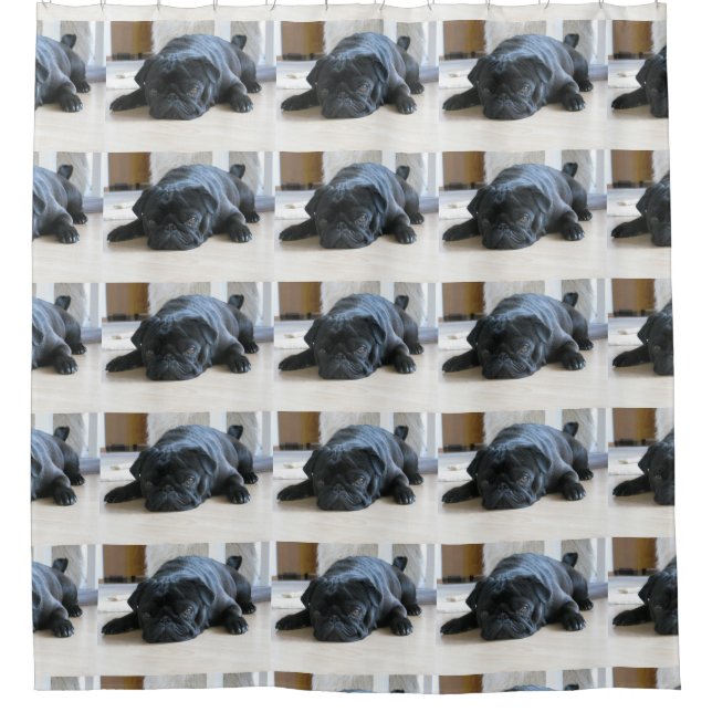 black pug flat shower curtain (Front)