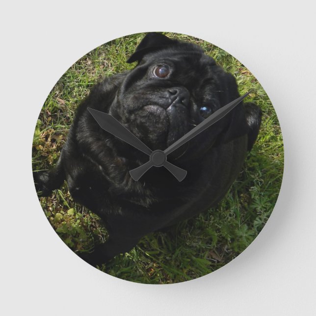 black-pug full.png round clock (Front)