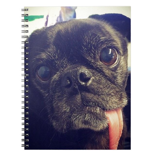 Black Pug Notebook (Front)