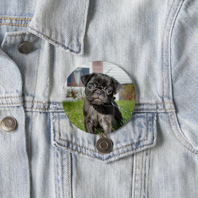 bLACK PUG PUPPY  7.5 Cm Round Badge (In Situ)