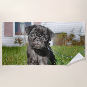 Black Pug Puppy Beach Towel