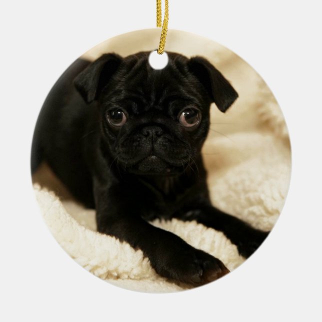 Black Pug Puppy Ceramic Ornament (Front)