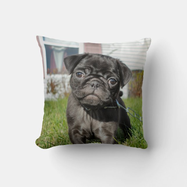 Black pug puppy  cushion (Front)