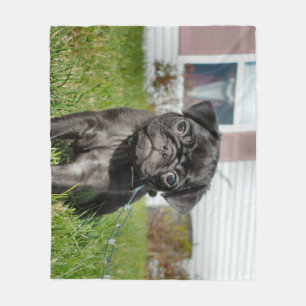 Black pug puppy fleece blanket