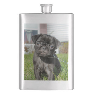 Black pug puppy hip flask