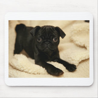 Black Pug Puppy Mouse Pad