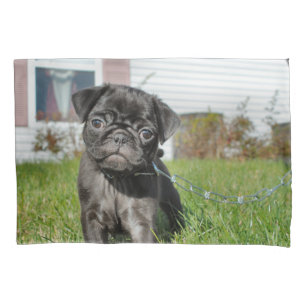 Black Pug puppy Pillowcase