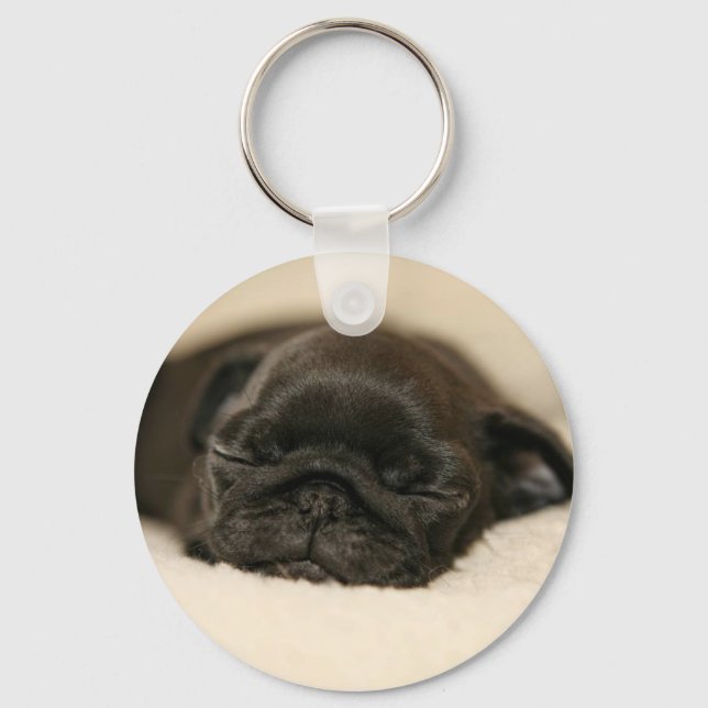 Black Pug Puppy Sleeping Key Ring (Front)
