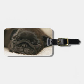 Black Pug Puppy Sleeping Luggage Tag