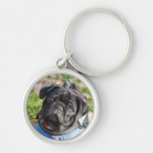 Black Pug Puppy Wearing A Jacket Key Ring