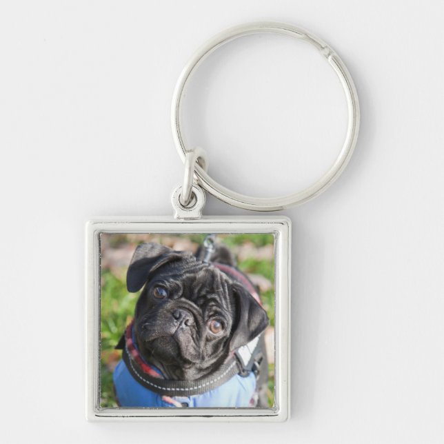 Black Pug Puppy Wearing A Jacket Key Ring (Front)