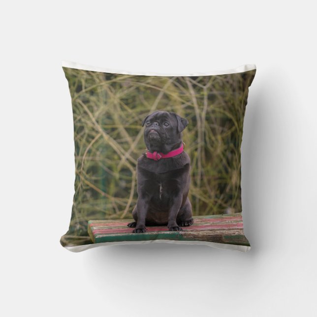 black pug sitting cushion (Front)