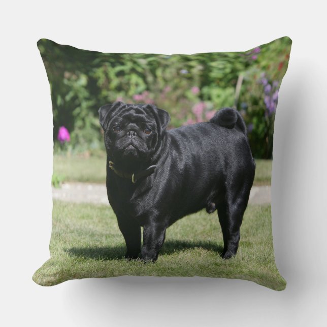 Black Pug Standing Looking at Camera Cushion (Front)